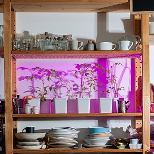 Комплект с лентой светодиодной ULS-P76 UL-00004101