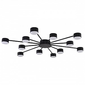 Потолочная люстра Lumion TORINA 0049941 (Италия)