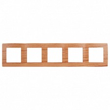 Рамка на 5 постов Эра 12 12-5005-09