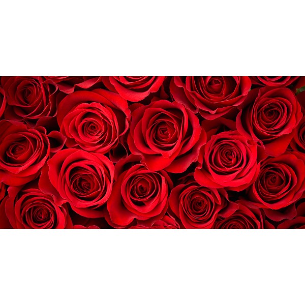 фото Картина (120х60 см) Алые розы HE-102-157 Ekoramka