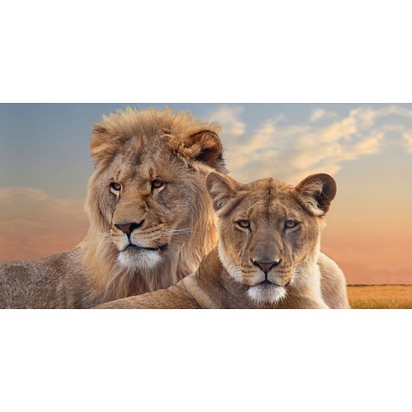 фото Картина (120х60 см) Лев и львица HE-102-153 Ekoramka