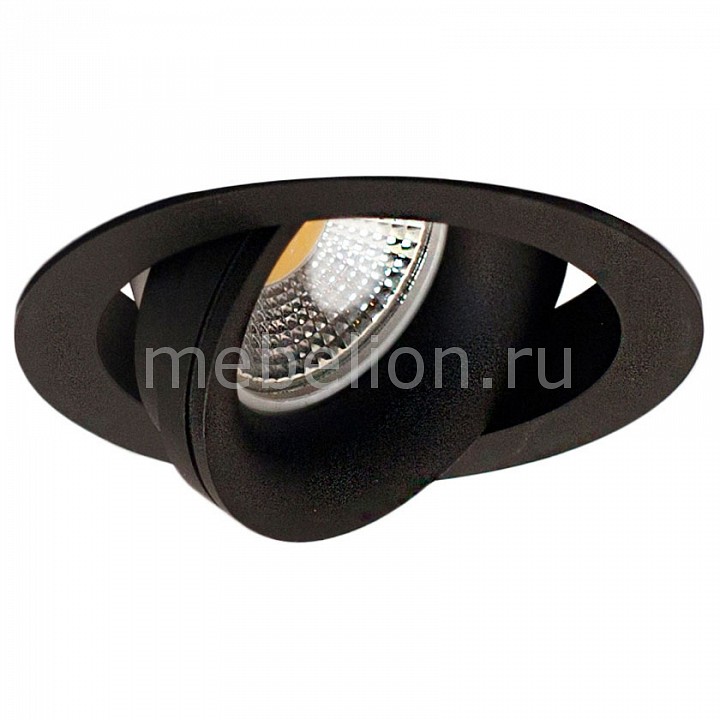 

Встраиваемый светильник DL18412/01TR Black, DL18412/01TR Black