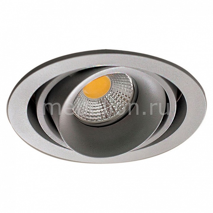 

Встраиваемый светильник DL18615/01WW-R Silver Grey/Black, DL18615/01WW-R Silver Grey/Black