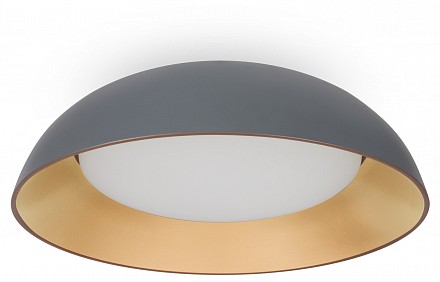 Накладной светильник Moonlight FR5277CL-L72GR