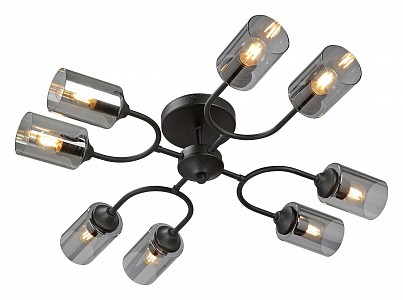 Потолочная люстра V2823 V2823-1/8PL