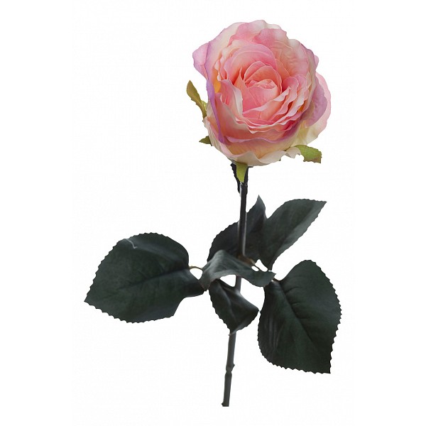 фото Набор из 36 цветков Роза 8J-1211S0003 Garda decor