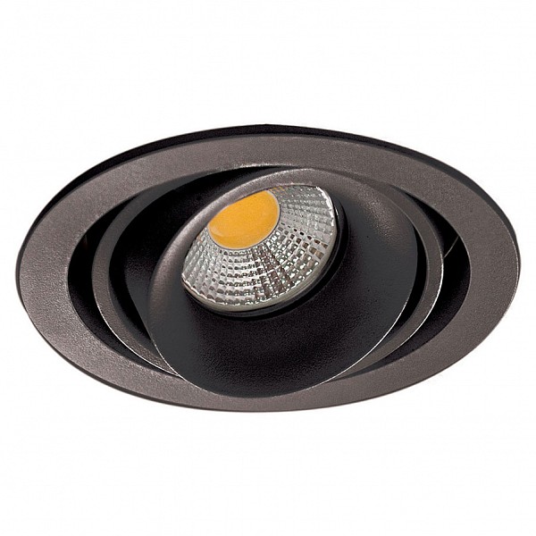 

Встраиваемый светильник DL18615/01WW-R Shiny black/Black, DL18615/01WW-R Shiny black/Black