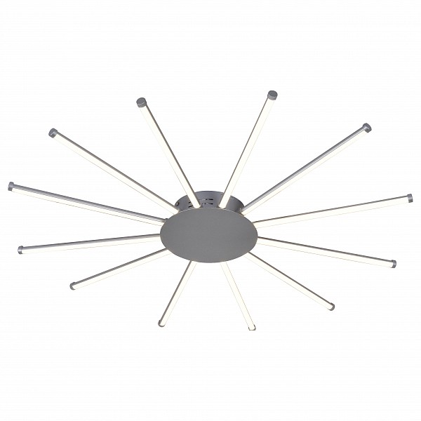 

Накладной светильник Aster 2379-12U, Aster 2379-12U