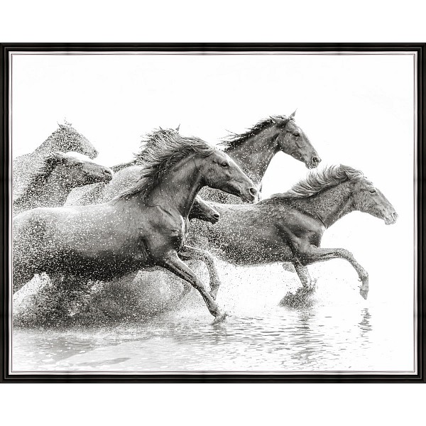 фото Картина (50х40 см) Кони бегущие по воде BE-103-317 Ekoramka
