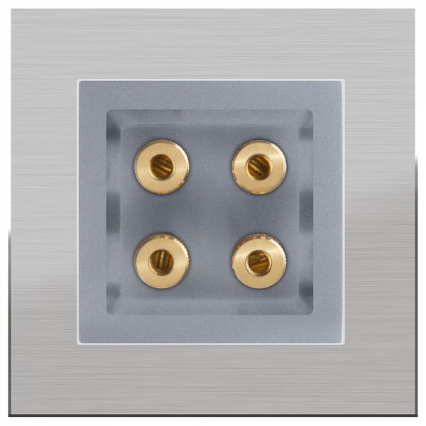 

Розетка акустические без рамки Aluminium(Серебряный) WL06-70-11+WL06-AUDIOx4, без рамки Aluminium(Серебряный) WL06-70-11+WL06-AUDIOx4