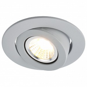 Настенно-потолочный светильник 4049 Arte Lamp (Италия)
