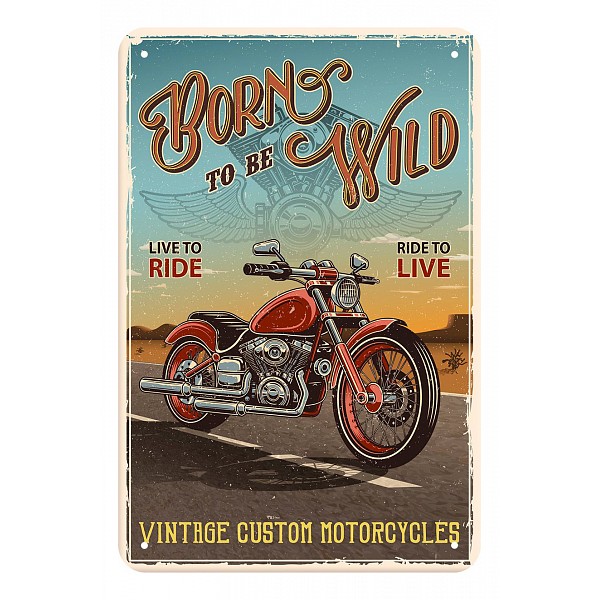 

Панно (20x30 см) Born to be wild TM-113-101, Голубой, (20x30 см) Born to be wild TM-113-101