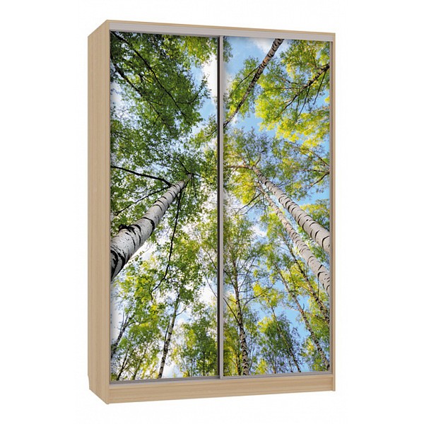 

Шкаф-купе Рио 7-600 57, Рио 7-600 57
