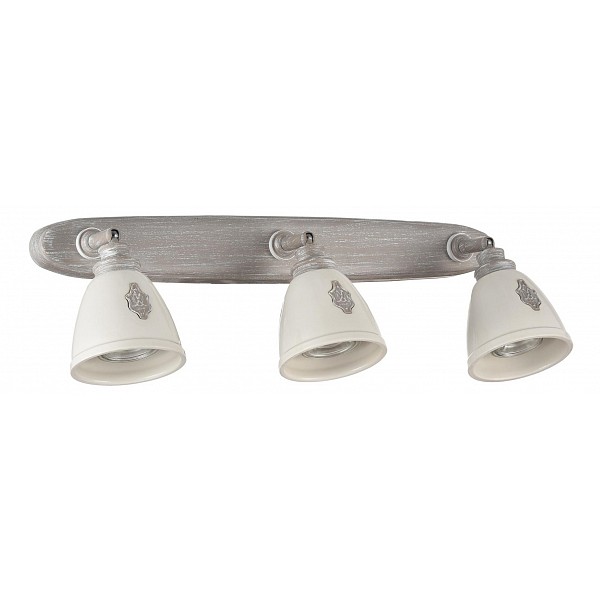 

Спот Agnes SP289-CW-03-BG, Agnes SP289-CW-03-BG