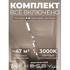 Накладная однофазная трековая система Skylite №5 со светильниками (220В, форма - прямая, 4м, 3000K), белая