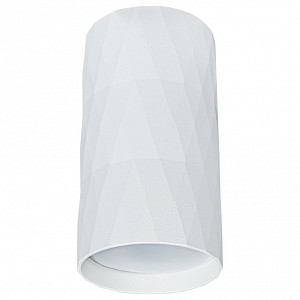Настенно-потолочный светильник Fang Arte Lamp (Италия)
