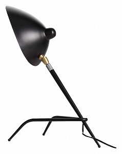Настольная лампа декоративная Spruzzo SL305.404.01