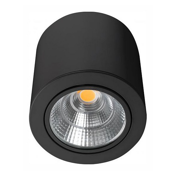 

Накладной светильник SP-FOCUS-R140-30W Warm3000 (BK, 24 deg, 230V) 029538, SP-FOCUS-R140-30W Warm3000 (BK, 24 deg, 230V) 029538