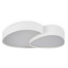 Накладной светильник Modesty FR6079CL-L72W