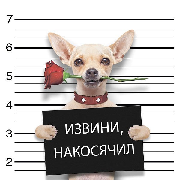 

Картина (30х30 см) Извини накосячил SE-102-280, Бежевый;белый;черный, (30х30 см) Извини накосячил SE-102-280