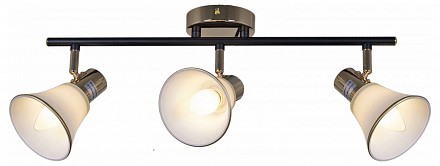 Люстра на штанге Reluce  05901-0.8-03 BK+FGD (Италия) Люстра на штанге Reluce  05901-0.8-03 BK+FGD (Италия)