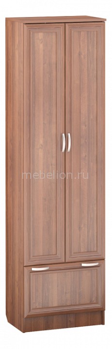Шкаф платяной ШП-03