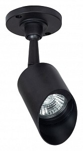 Настенно-потолочный светильник Elsie Arte Lamp (Италия)