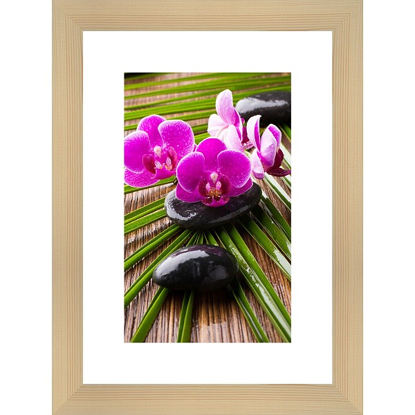 фото Картина (30х40 см) Цветки орхидеи BE-103-209 Ekoramka