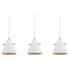 Подвесная люстра Cozy FR5211PL-03W