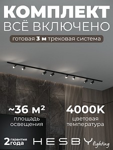 Накладная однофазная трековая система Skylite №3 со светильниками (220В, форма - прямая, 3м, 4000K), черная