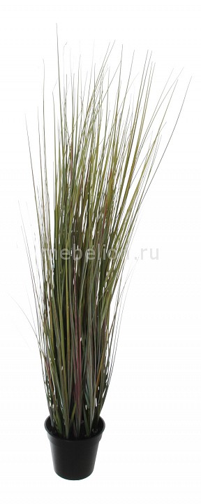 фото Растение в горшке (90 см) Трава 58006100 Home-religion