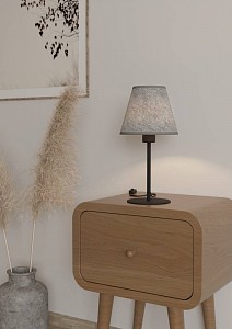 Настольная лампа декоративная Alsager 43986