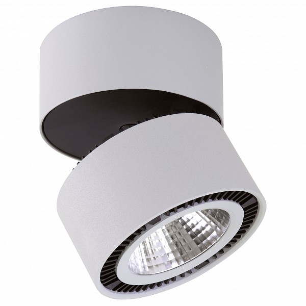 

Светильник на штанге Forte Muro LED 214830, Forte Muro LED 214830