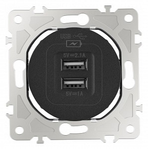 Розетка USB, без рамки 202.46-1.black