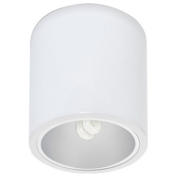 

Потолочный светильник Downlight 4866