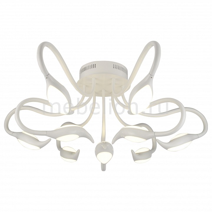 фото Потолочная люстра 9475 A9475PL-9WH Arte lamp