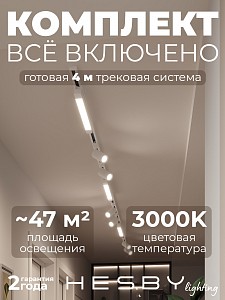 Накладная однофазная трековая система Skylite №5 со светильниками (220В, форма - прямая, 4м, 3000K), белая