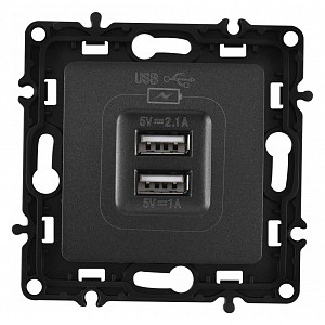 Розетка USB, без рамки 217.46-1.black