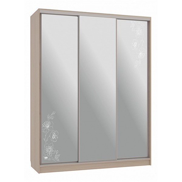 

Шкаф-купе Бассо 4-600 токио, Бассо 4-600 токио