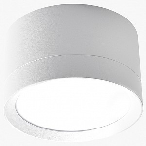 Светильник потолочный LEDS POWER SPOT (Россия)