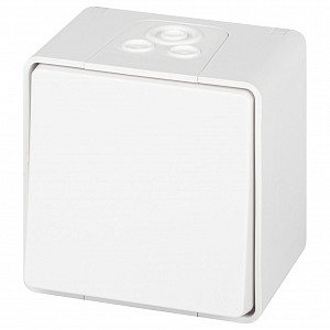 Переключатель одноклавишный Эра Эксперт 11-1503-01