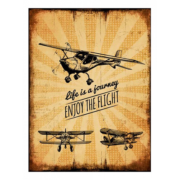 

Картина (70х90 см) Enjoy the flight HE-101-443, (70х90 см) Enjoy the flight HE-101-443, Бежевый;коричневый