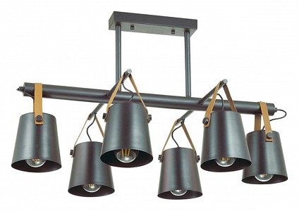 Люстра на штанге Lumion Tristen 3641/6C (Италия)