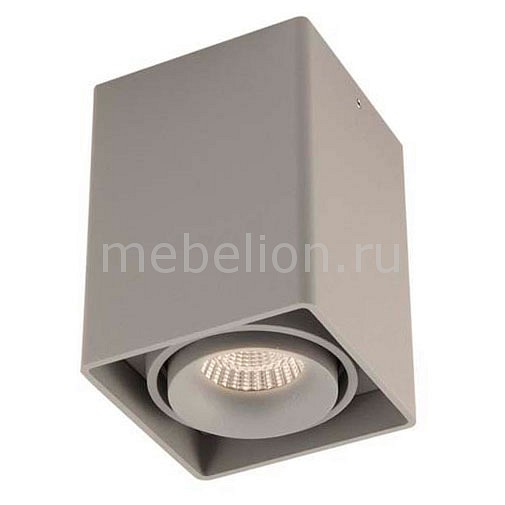 

Накладной светильник DL18611/01WW-SQ Silver Grey, DL18611/01WW-SQ Silver Grey