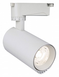 Светильник на штанге 20031 20031TRA/02LED SWH