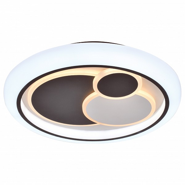 

Накладной светильник 10255 10255/S LED, 10255 10255/S LED