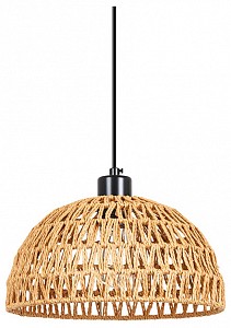 Светильник потолочный Arte Lamp BRUSHWOOD (Италия)
