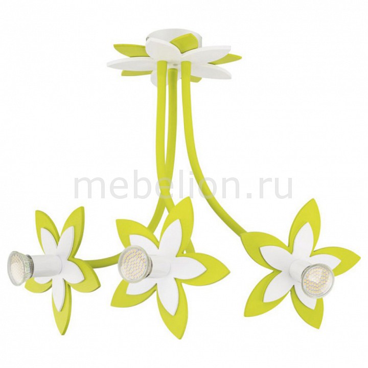 

Потолочная люстра Flowers 6898