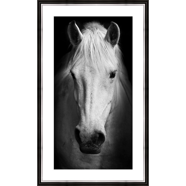 фото Картина (30х50 см) Белый конь BE-103-318 Ekoramka