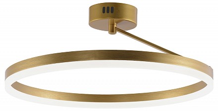 Светильник на штанге FINAM LED LAMPS 81121/3C